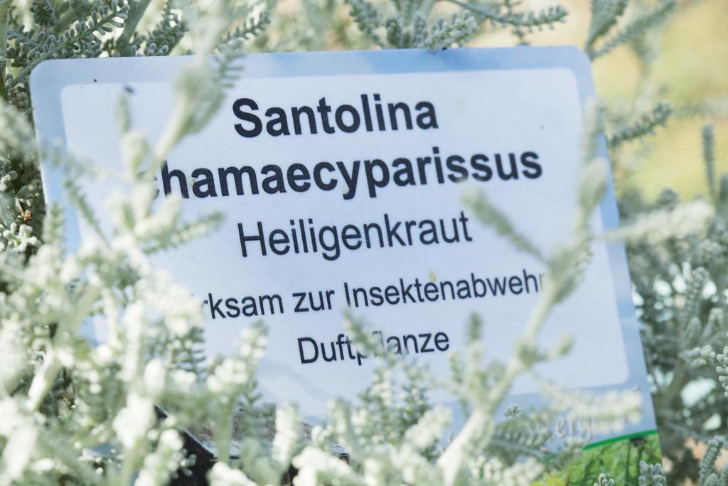 Kraeuterpension Rosenkranz Rangersdorf Exterior foto